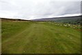 SD9698 : Very grassy bridleway above Heights by Andy Waddington