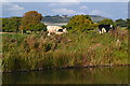 SU1561 : Cows grazing beside the Kennet and Avon Canal at Pewsey Wharf by David Martin