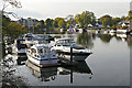 TQ0966 : Moored boats, Walton-on-Thames by Alan Hunt