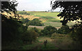 SU3056 : Across the steep-sided chalk valley at Hippenscombe by James Harrison