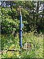 NY4754 : Village pump, Great Corby by Rose and Trev Clough