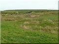 SK0777 : Old limekilns at Dove Holes by Alan Murray-Rust