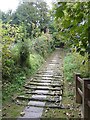 ST9151 : Church Steps, Bratton by Penny Mayes