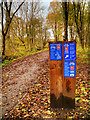 SD7819 : National Cycle Network Route 6 at Lumb by David Dixon