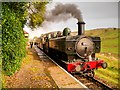 SD7920 : Ex-GWR Steam Locomotive at Irwell Vale Halt by David Dixon