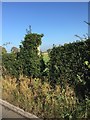 SJ7952 : Obscured fingerpost and stile on Alsager Road by Jonathan Hutchins