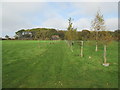 TQ2914 : Clayton Wood Natural Burial Ground by Peter Holmes