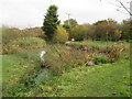 TQ2914 : Pond at Clayton Wood Natural Burial Ground by Peter Holmes