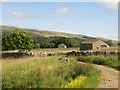 SD9672 : Barns and a path in Wharfedale by Graham Robson