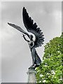 TG2308 : Angel on Norwich War Memorial by David Dixon