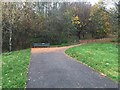 SJ8544 : Newcastle-under-Lyme: public footpath in Lyme Valley Park by Jonathan Hutchins