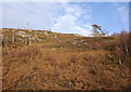 NH3439 : Birch and bracken, on the northern slopes of Strathfarrar by Craig Wallace