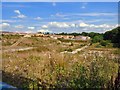 SJ9495 : Nature is reclaiming the mill site by Gerald England