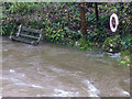 SD5086 : Bench with handy life ring, River Kent by Karl and Ali