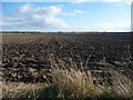 SE6464 : Recently ploughed field, south of West Lilling by Christine Johnstone