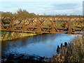 TF3902 : Rusty bridge over Mortons Leam - The Nene Washes by Richard Humphrey