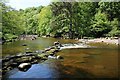 NY7962 : The River Allen below Allen Crag by Philip Halling