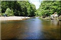 NY7962 : River Allen in the Staward Gorge by Philip Halling