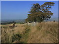 SJ9369 : Kissing gate on Gritstone Trail, N of Hill of Rossenclowes near Oakgrove by Colin Park