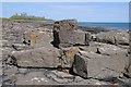 NU2520 : Rocky coast near Dunstanburgh Castle by Philip Halling