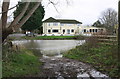 SP4304 : View across the Thames from Bablock Hythe to the Ferryman Inn by Roger Templeman