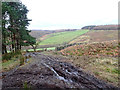 SE5196 : Muddy Track into Upper Ryedale by Mick Garratt