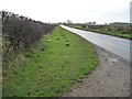 SE6363 : Roadside molehills at Anchor Plain by Christine Johnstone