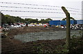 SZ5990 : View through a barbed wire fence, Smallbrook Lane near Ryde by Jaggery