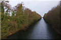 TL7195 : Cut-off Channel, Methwold Hythe by Stephen McKay