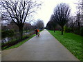 J3675 : Pathway, Victoria Park, Belfast by Kenneth  Allen