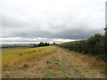 NZ2057 : Path to Longfield House farm by Robert Graham