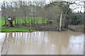 SP2965 : The river has filled a ditch and submerged a fishing peg, Myton, southeast Warwick by Robin Stott