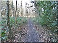 SU1561 : Pewsey, footpath by Mike Faherty