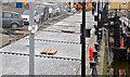 J3474 : Donegall Quay improvements, Belfast - January 2016(3) by Albert Bridge