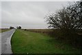 SK9948 : Roadside Verge by Bob Harvey