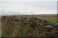 SK9948 : Dry stone wall by Bob Harvey