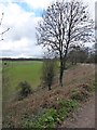 ST0013 : Embankment below Grand Western Canal near Sellake Bridge by David Smith