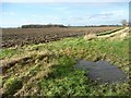 SE5435 : Field entrance, south side of Biggin Lane by Christine Johnstone