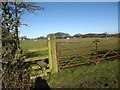 SJ2657 : Stile for footpath through grazing field heading for B5101 by Maggie Cox