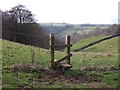 SK1455 : Stile on a footpath into Dovedale by Ian Calderwood