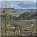 SN7675 : View south east from the Arch by Nigel Brown