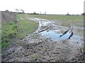 SE3377 : Farmland west of the Wath - Middleton Quernhow road by Christine Johnstone