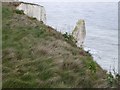 SZ0581 : Sea stack at The Pinnacles by David Smith