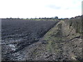 SE2979 : Recently ploughed field, south-east of Thornborough by Christine Johnstone