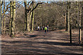 TQ2897 : Joggers, Trent Park, Cockfosters by Christine Matthews