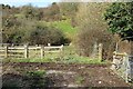 ST6761 : Animal pen near Castle Farm by Derek Harper