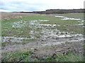 SE3522 : Waterlogged farmland near Stanley Flash by Christine Johnstone