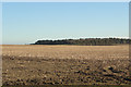 SS8379 : Field of stubble, Newton Down by eswales