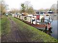 TQ0588 : Shadowfax, canal boat on the Grand Union by David Hawgood