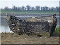 TF6120 : Rotting hull - The Fisher Fleet, King's Lynn by Richard Humphrey